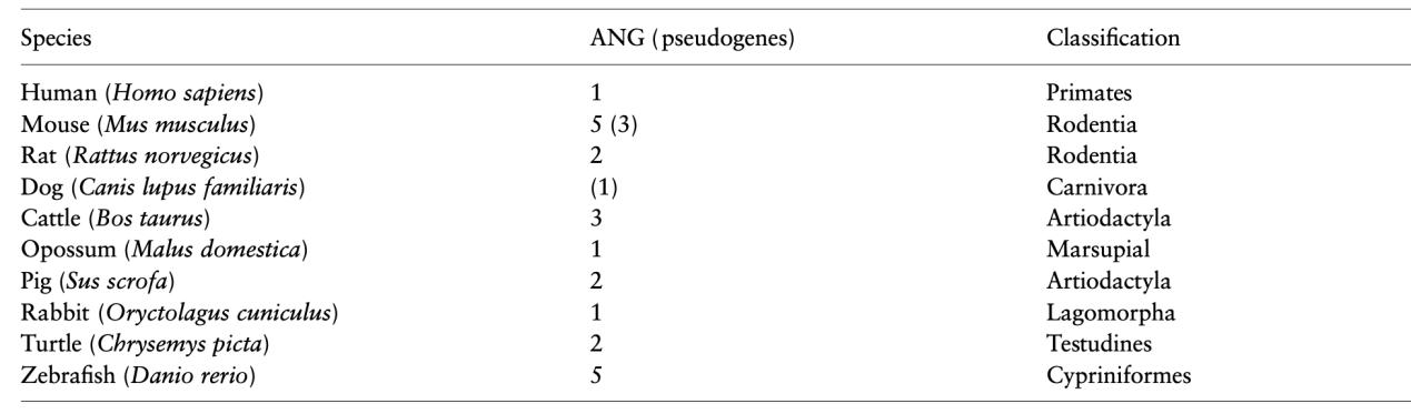 Numbers of angiogenin (ANG) genes and pseudogenes