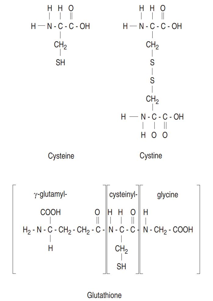 cysteine, cystine and glutathione structure.