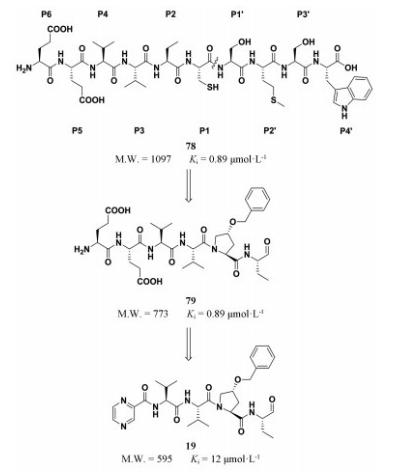 anti-HCV drug telaprevir optimization 1
