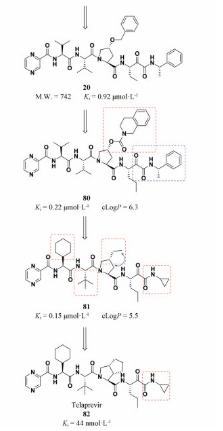 anti-HCV drug telaprevir optimization 2