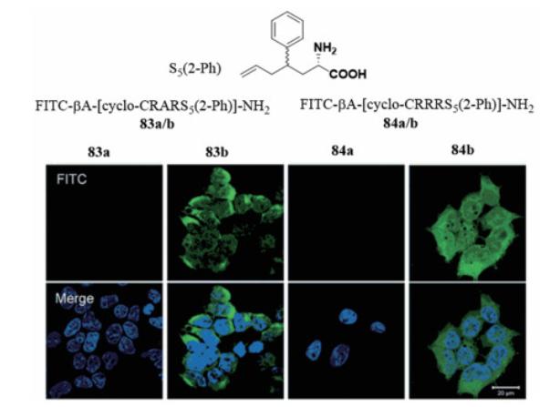 Introduction of chiral center in cyclopeptide linker to change peptide permeability.