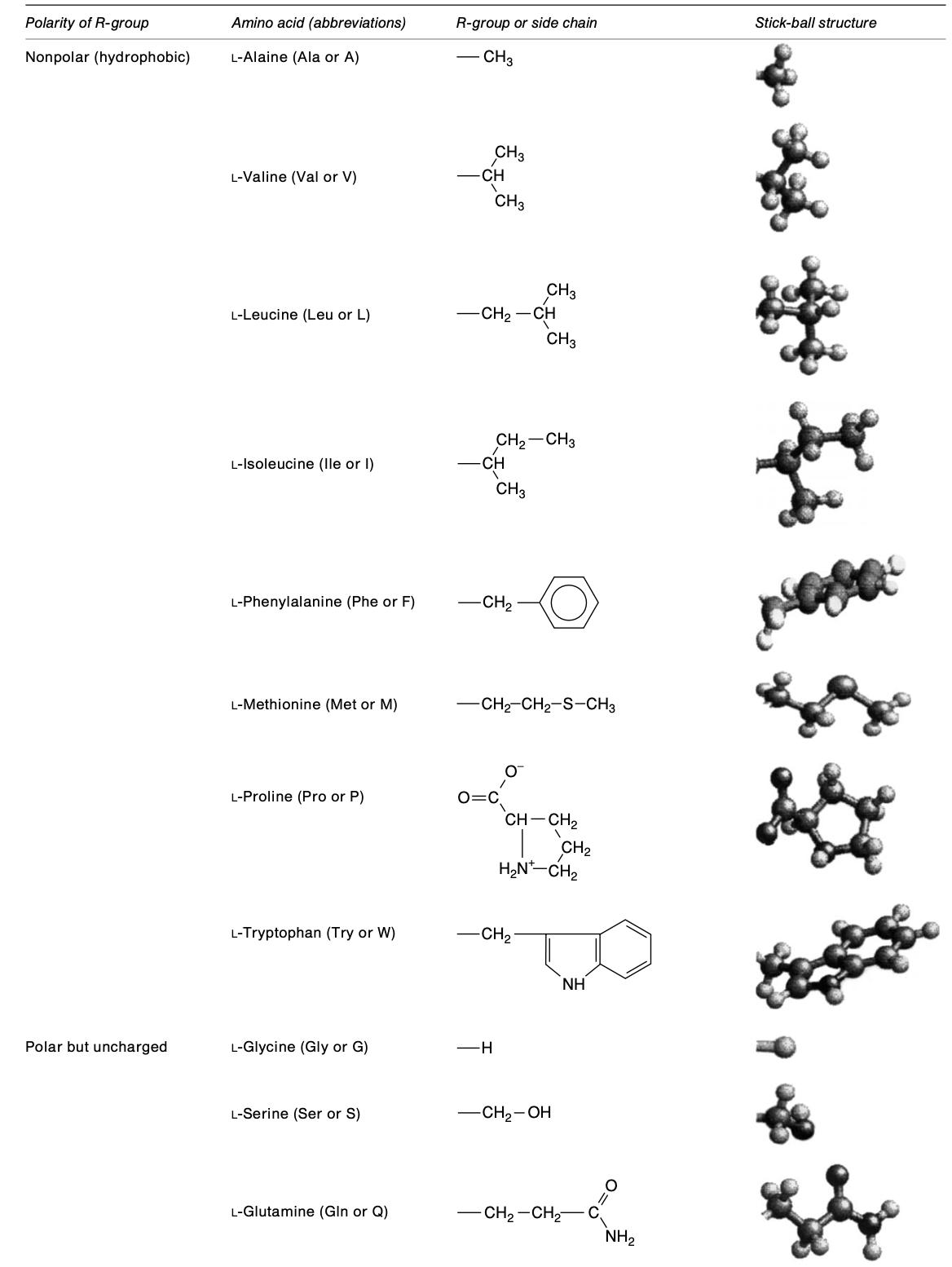 20 amino acids found in proteins list 1.