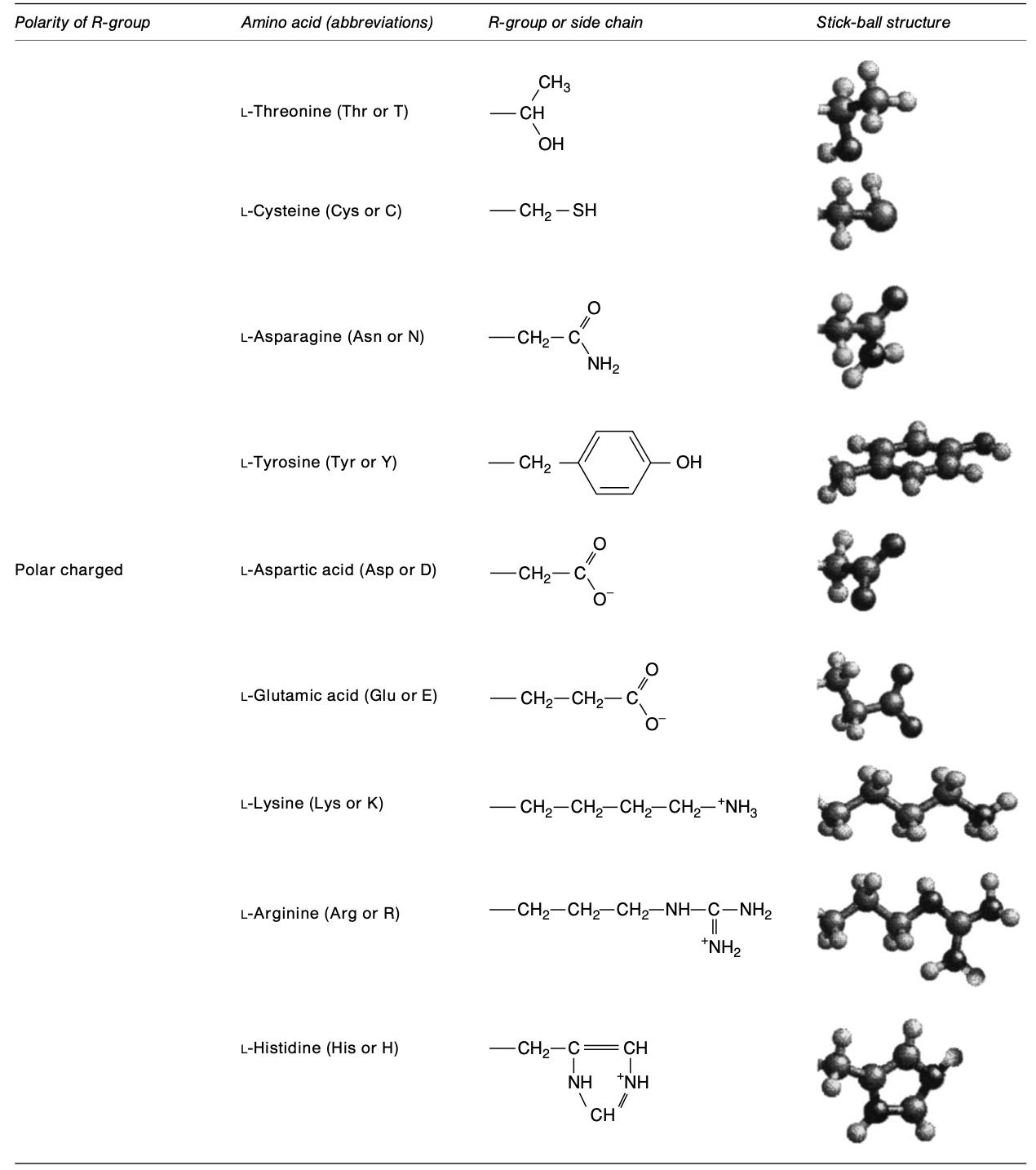 20 amino acids found in proteins list 2.
