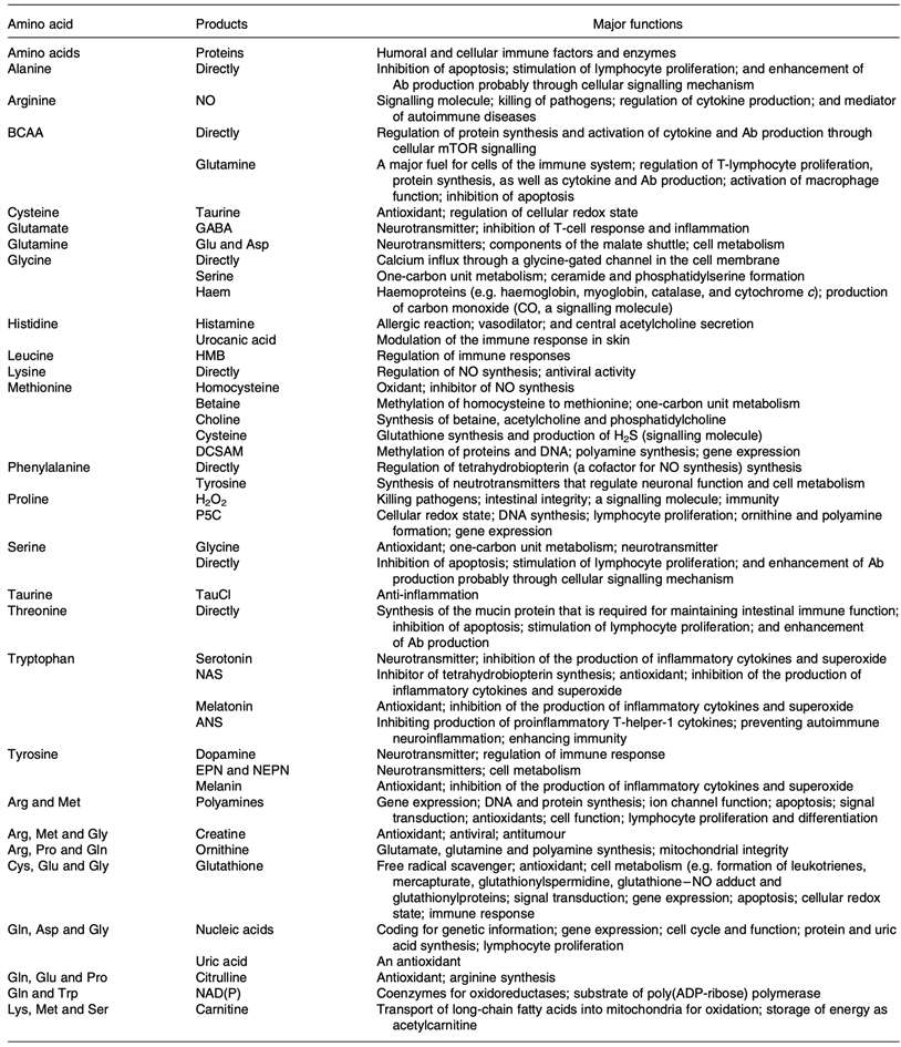 amino acids roles in immune responses.