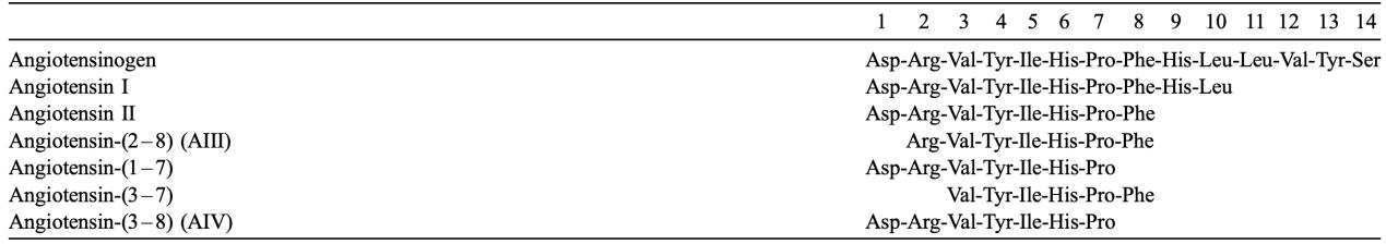 the angiotensin family amino acid sequences. 