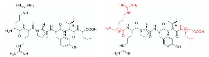 Fig.1 Modification of the terminal of neurotensin.