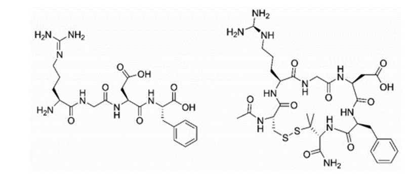 Fig.5 An application of cyclic peptides.