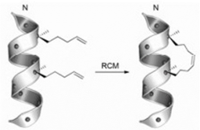 Fig.6 The formation of stapled peptides.