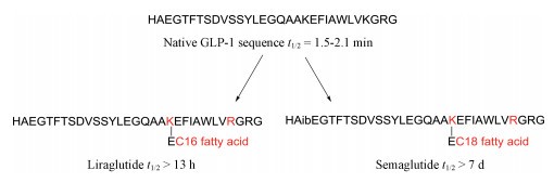 Fig.8 Modified peptides using higher fatty acids.