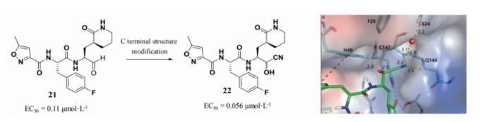 C-terminal structure modification to improve the activity against EV71 3C protease