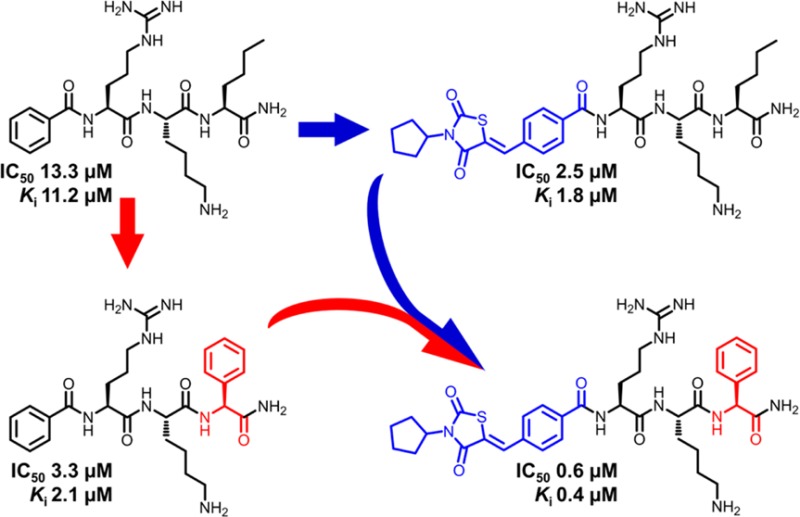 Splicing strategy to improve the inhibitory activity of DENV