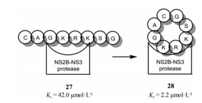 Cyclization strategy to improve the activity against NS2B-NS3 protease