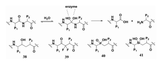 Pseudopeptides representative structures