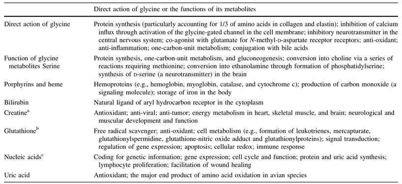 Physiological functions of glycine(Gly) in animals and humans.