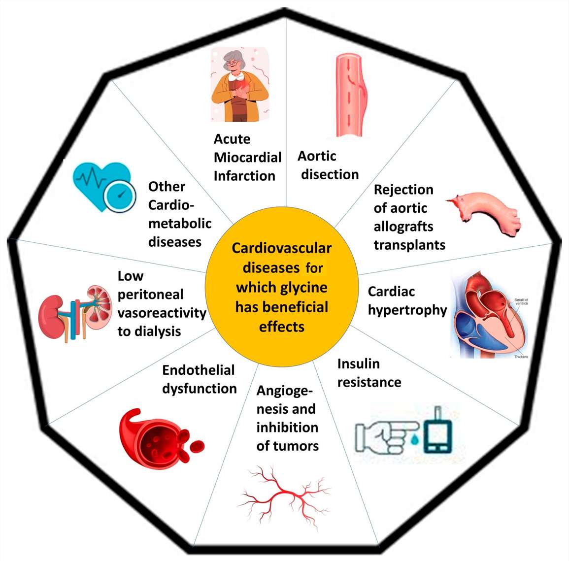 Glycine(Gly) main positive impacts on cardiovascular health.