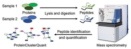 Analysis of peptide characterization