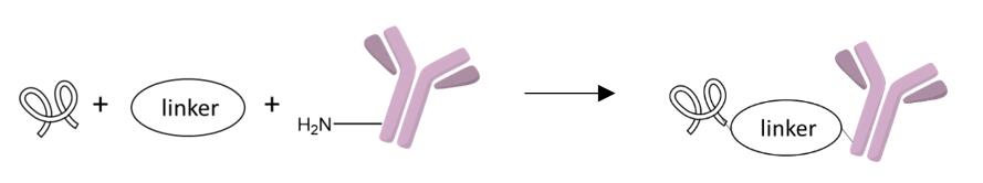 IntraCellular Delivery System