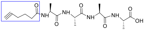 Caproic acid modification