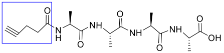 Pentynic acid modification