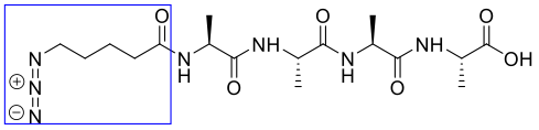 Introduction of azidopentanoic acid