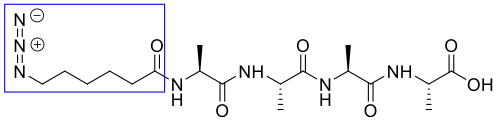 Introduction of azido caproic acid