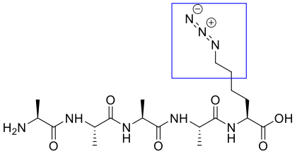 Introduction of side chain azide Lys