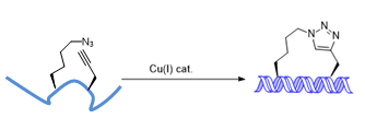 Stapled Peptide Design