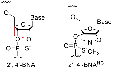 Custom Bridged Nucleic Acid Synthesis