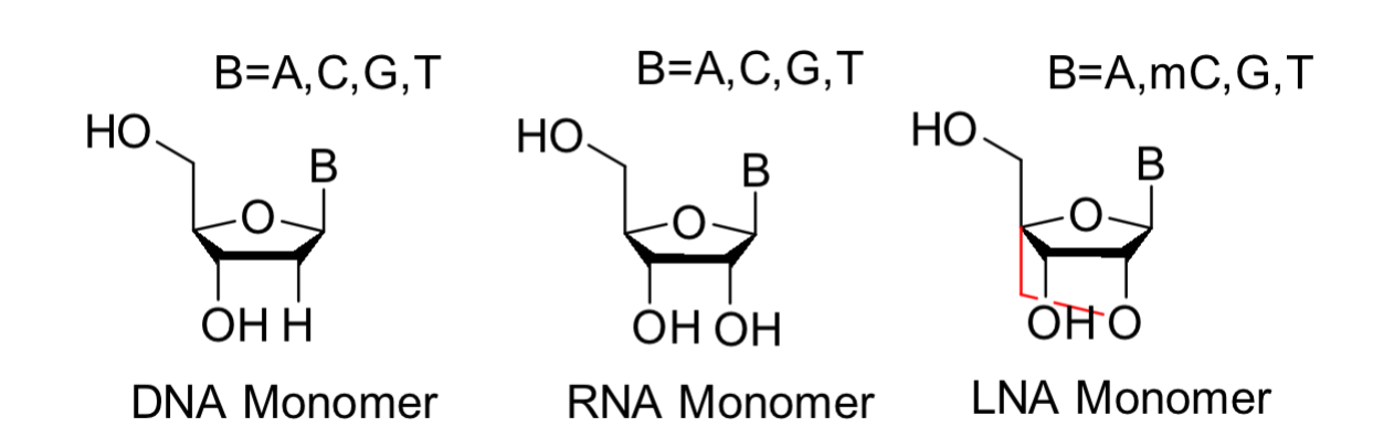 Custom Locked Nucleic Acid Synthesis