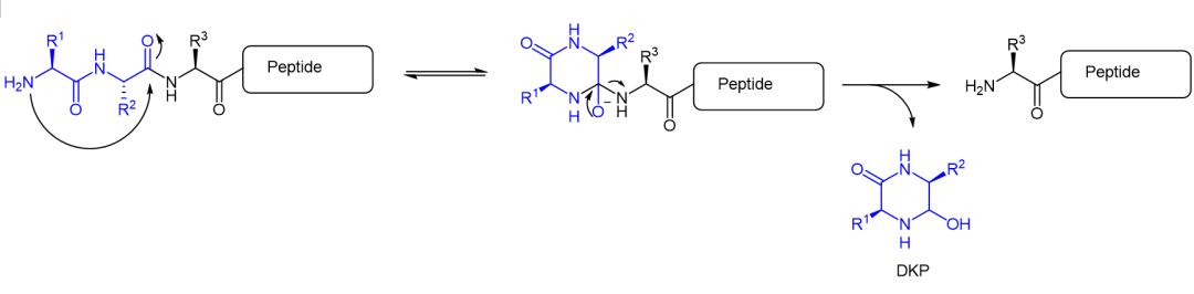 Degradation mechanism of peptide DKP