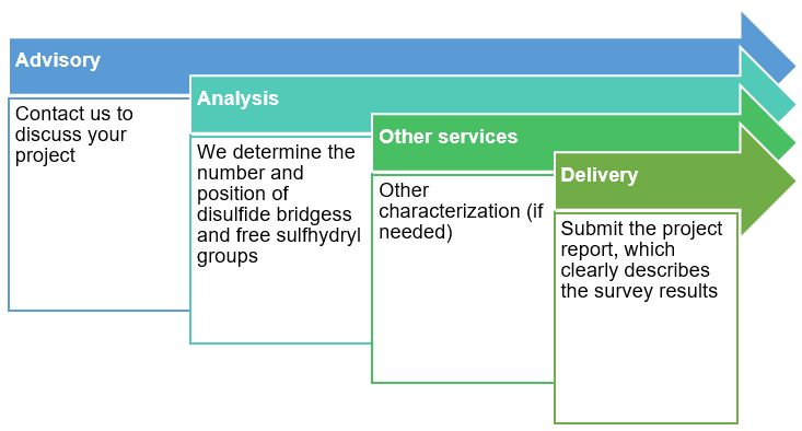 Disulfide Bridges Determination