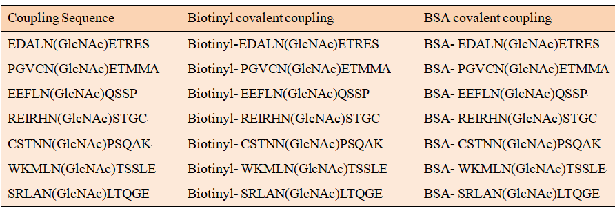 Example of our glycopeptides for generation antibody