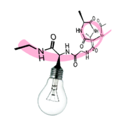 Fluorescence and Dye Labeling Peptides