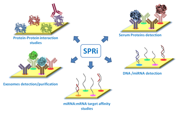 Surface plasmon resonance imaging (SPRi) service