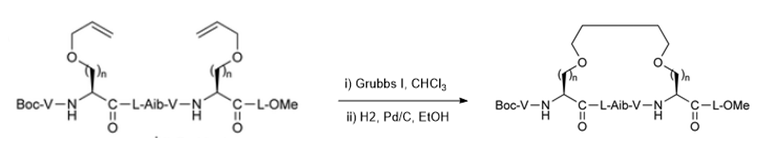 Stapled Peptide Design