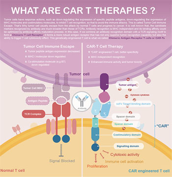 Immunotherapy & Cell Therapy