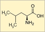 Leucine