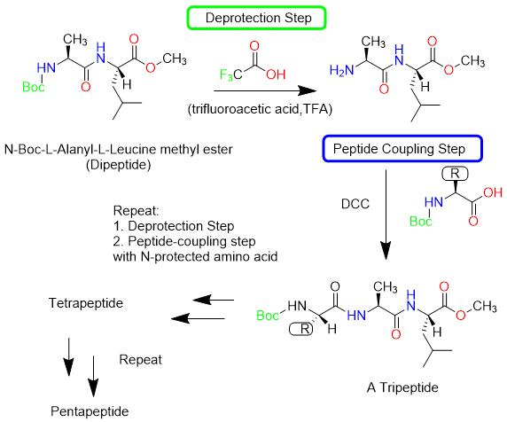 Liquid Phase Peptides Synthesis