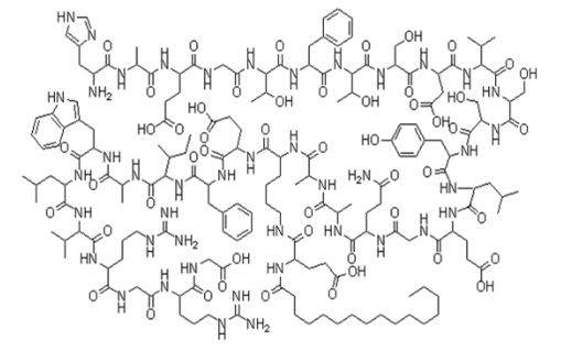 Liraglutide