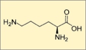 Lysine