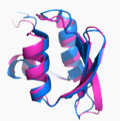 Peptide N-Terminal Modification