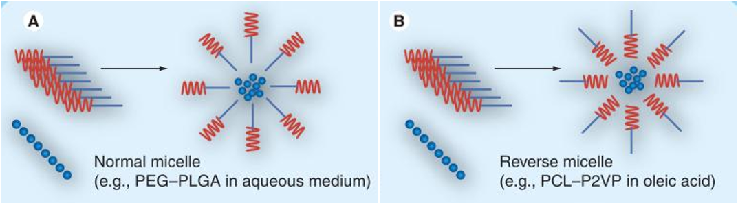 Novel Formulation Approaches