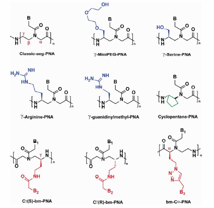 Backbone modifications of PNA (B = nucleobase)