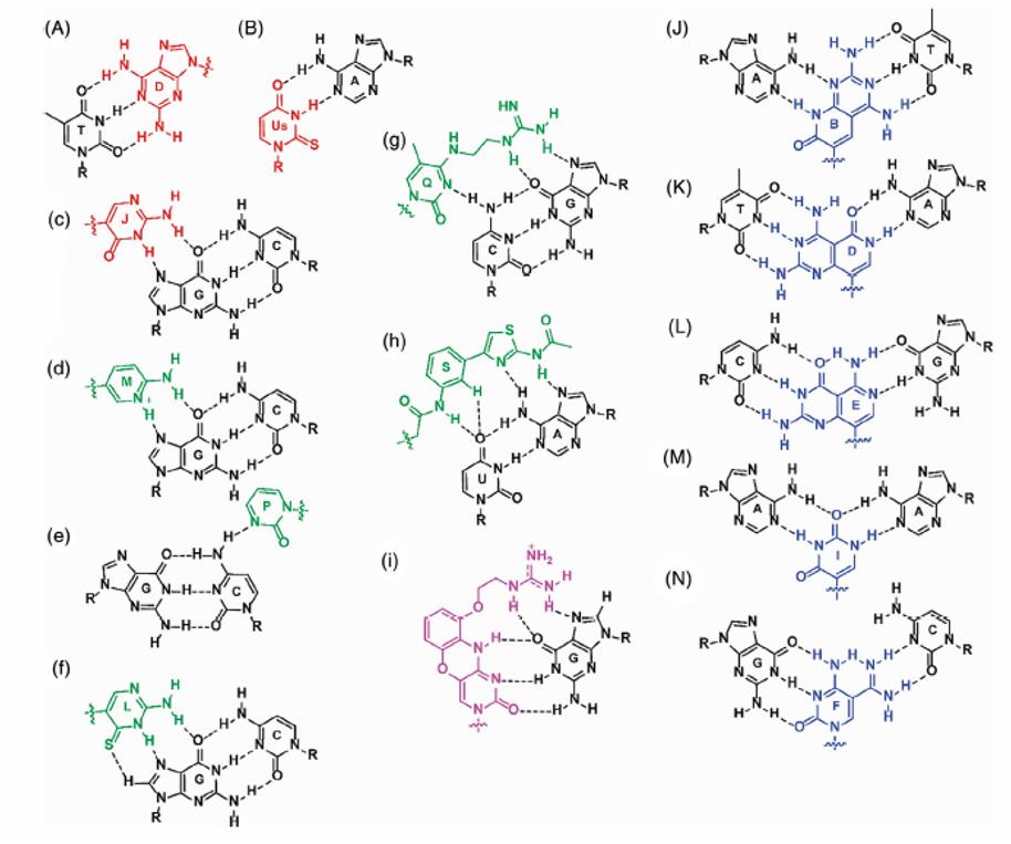 Nucleobase modifications of PNA