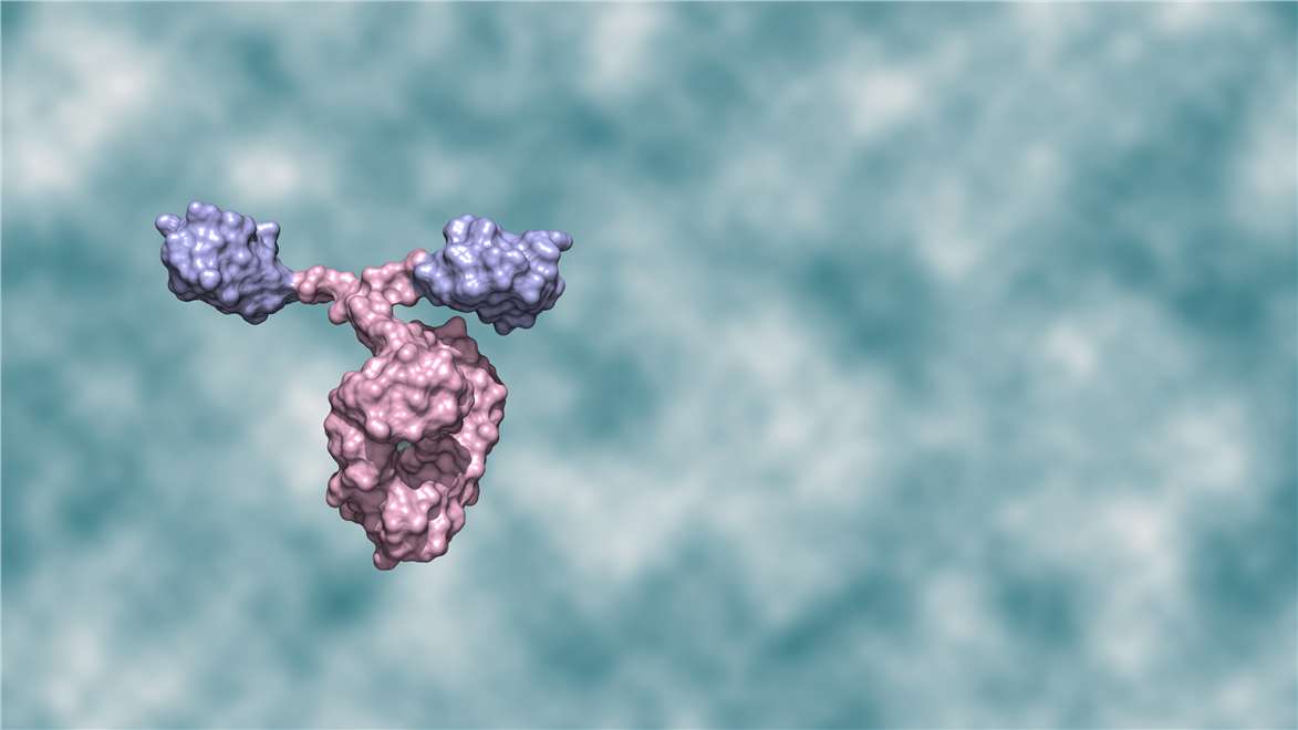 Protein Glycosylation