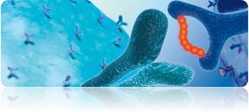 Special antigen peptides services