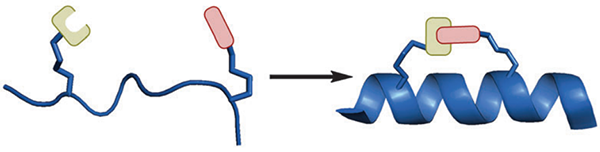 One-component stapling techniques