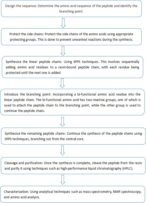 Steps for Synthesizing Branched Peptides