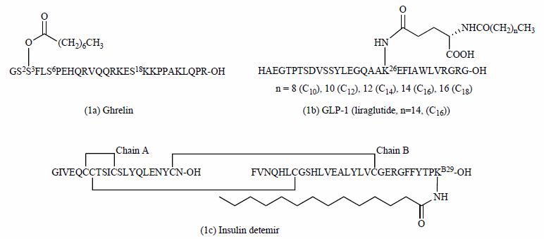 Structures of ghrelin, GLP-1 (liraglutide) and insulin detemir