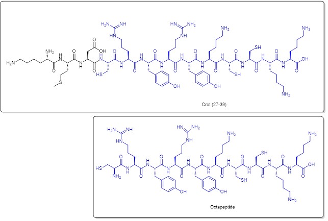 Comparison of the molecular structure of the Crotamine nuclear localisation fragment Crot (27-39) (above) with the cell-penetrating decapeptide (below) (preserved in blue)